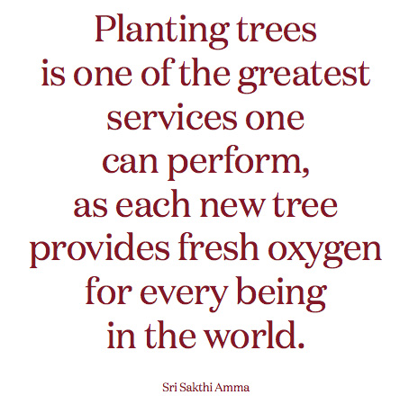 environmental-programs-quote